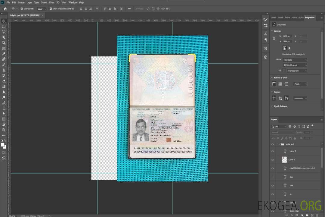 Look photo du passeport serbe 2018-présent template